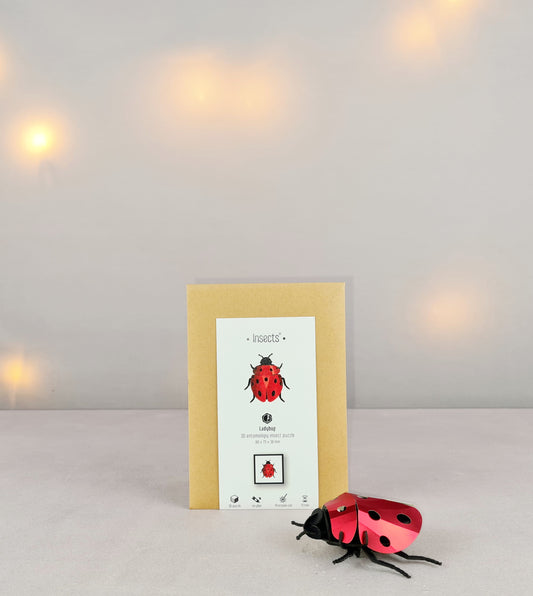 Assembli Marienkäfer S