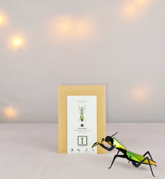 Assembli Gotttesanbeterin S