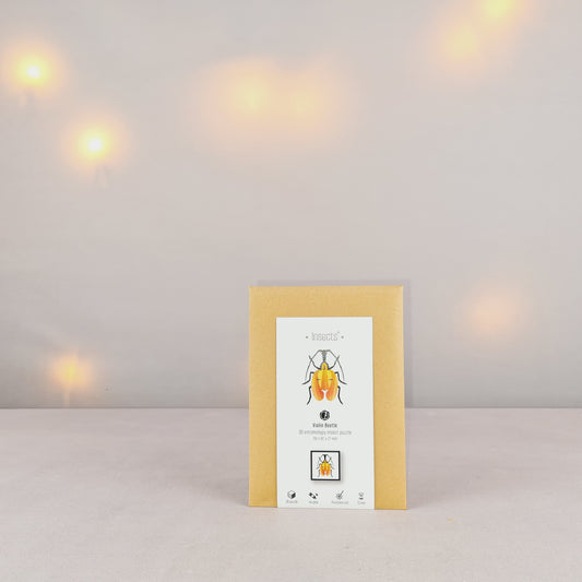 Assembli Violinen Käfer S