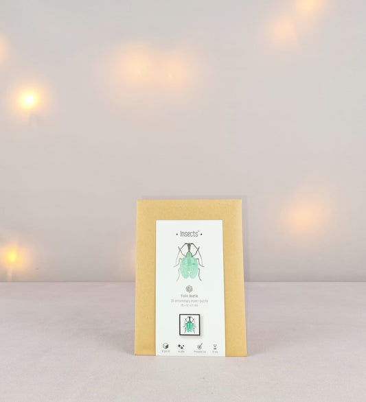 Assembli Violinen Käfer S