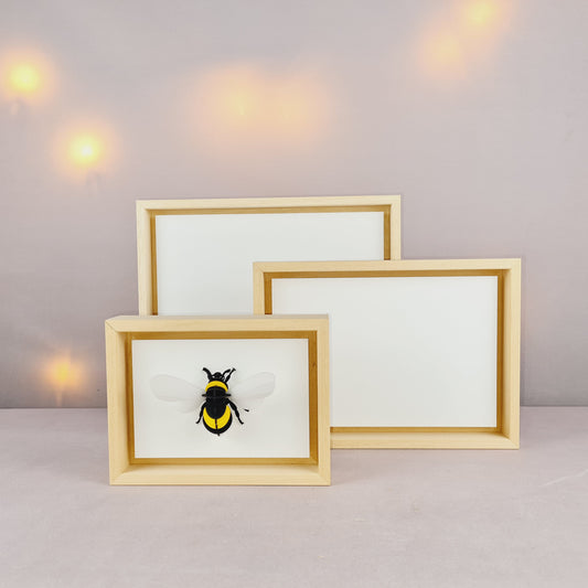 Bilderrahmen Assembli