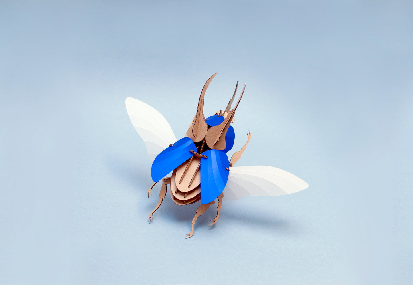 Assembli Atlas Käfer L