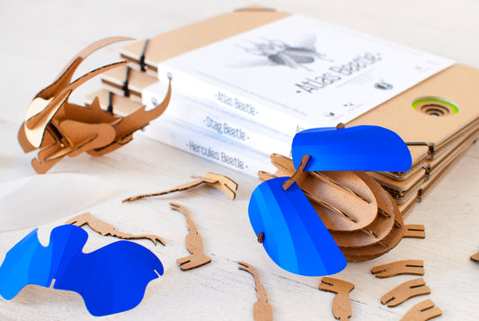 Assembli Atlas Käfer L